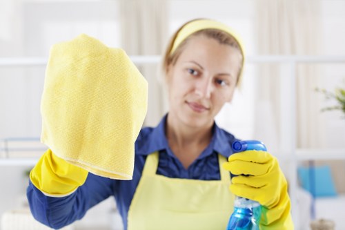 Professional move out cleaning in a bright living room