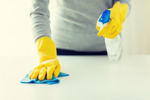 Professional deep cleaning service preparing a property for guests