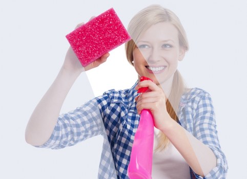 Professional oven cleaning tools and oven racks during maintenance