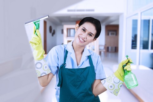 Detailed post construction cleaning on windows and frames